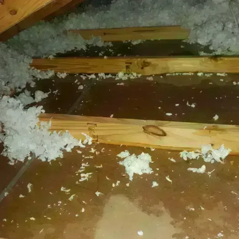 Attic Water Damage in Lincoln County, OR