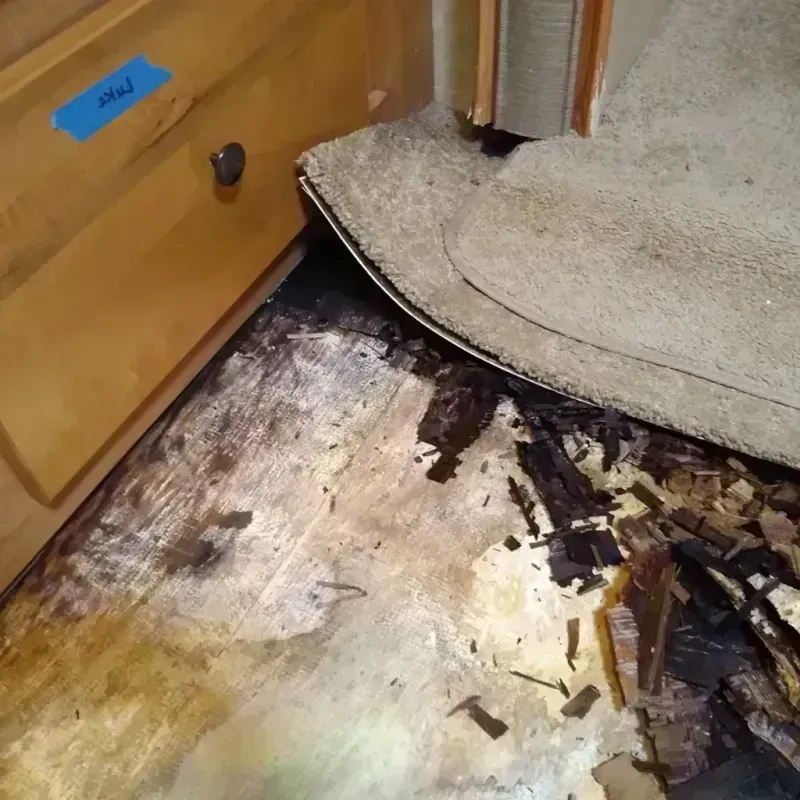 Best Wood Floor Water Damage Service in Lincoln County, OR